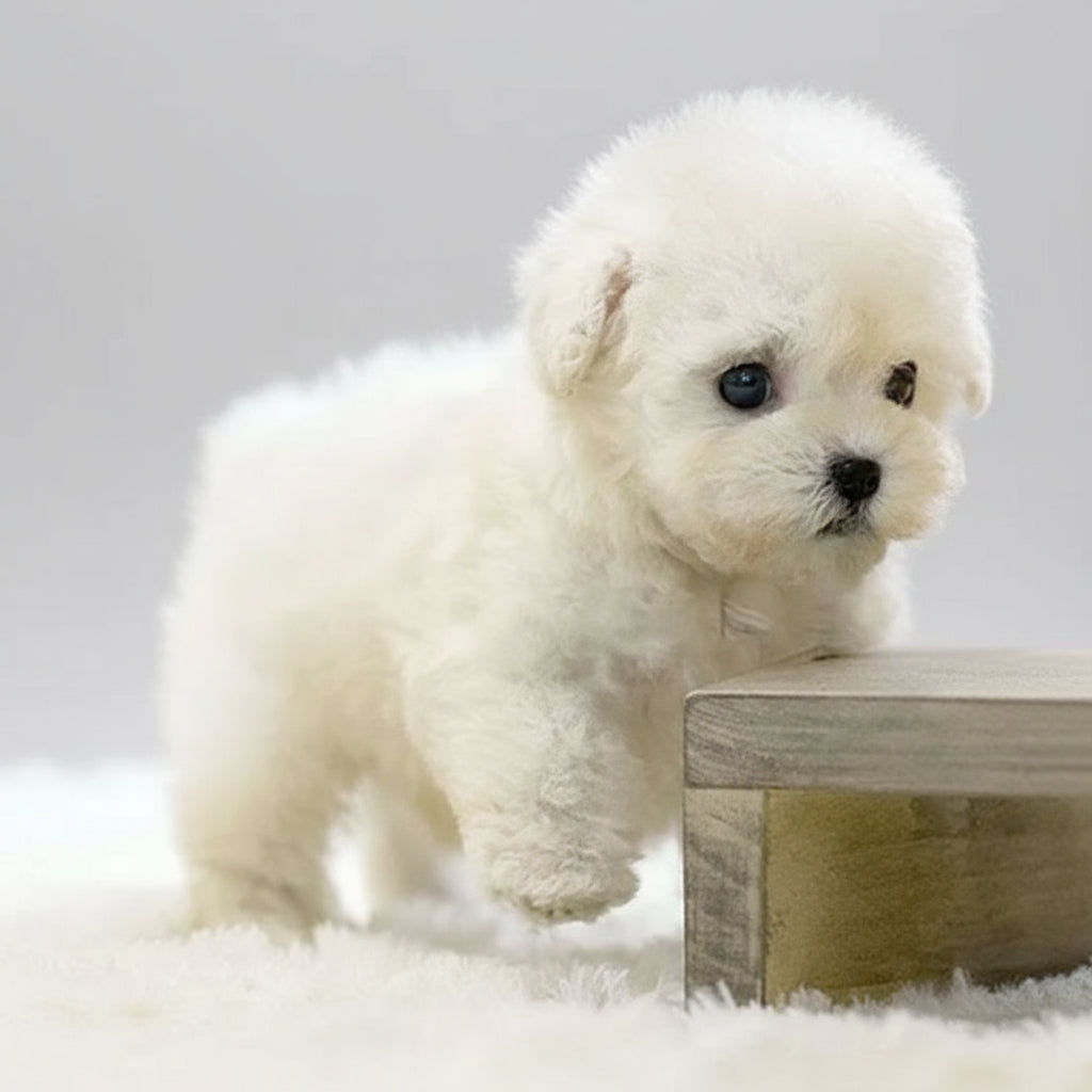 Interactive Kids Dog Toys Realistic Robot Puppy Sounds - Image 8